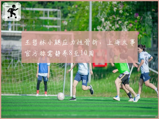 王哲林小腿应力性骨折，上海久事官方称需静养8至10周