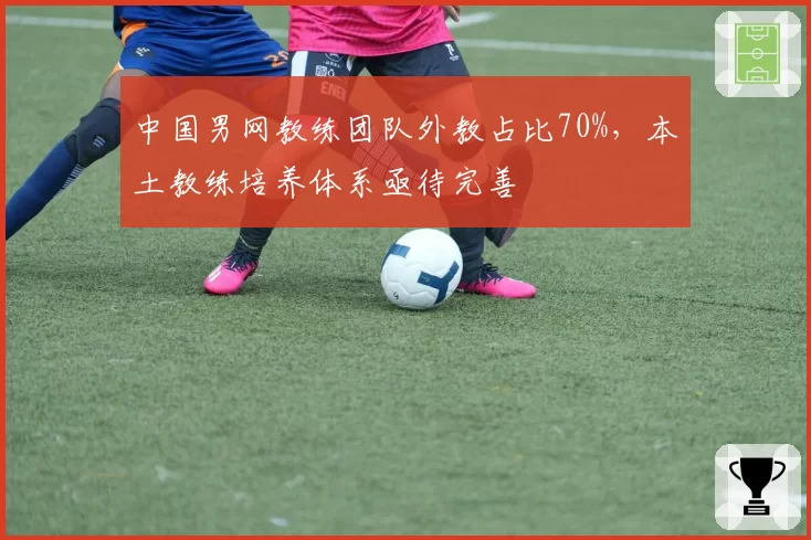 中国男网教练团队外教占比70%，本土教练培养体系亟待完善
