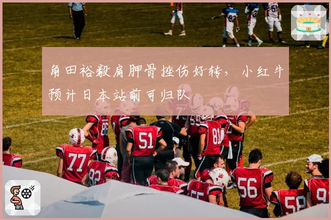 角田裕毅肩胛骨挫伤好转，小红牛预计日本站前可归队