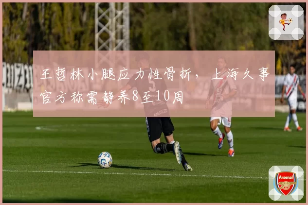 王哲林小腿应力性骨折,上海久事官方称需静养8至10周