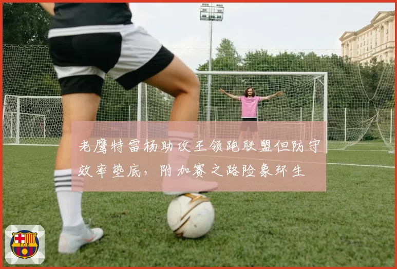 老鹰特雷杨助攻王领跑联盟但防守效率垫底，附加赛之路险象环生